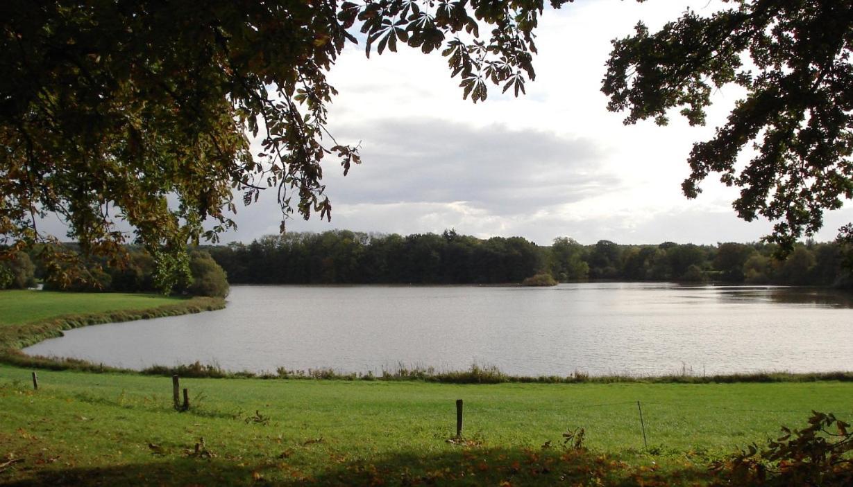 Erdgeschoss-Appartement Mit Seeterasse Ahrensbok Zewnętrze zdjęcie